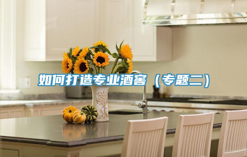如何打造專(zhuān)業(yè)酒窖（專(zhuān)題二）