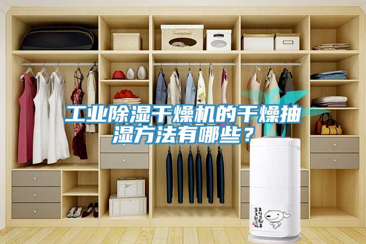 工業(yè)除濕干燥機(jī)的干燥抽濕方法有哪些？