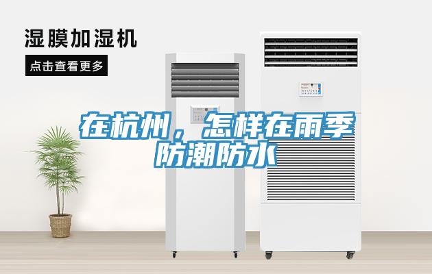 在杭州，怎樣在雨季防潮防水