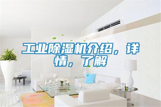 工業(yè)除濕機(jī)介紹，詳情，了解
