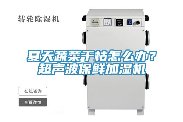 夏天蔬菜干枯怎么辦？超聲波保鮮加濕機(jī)