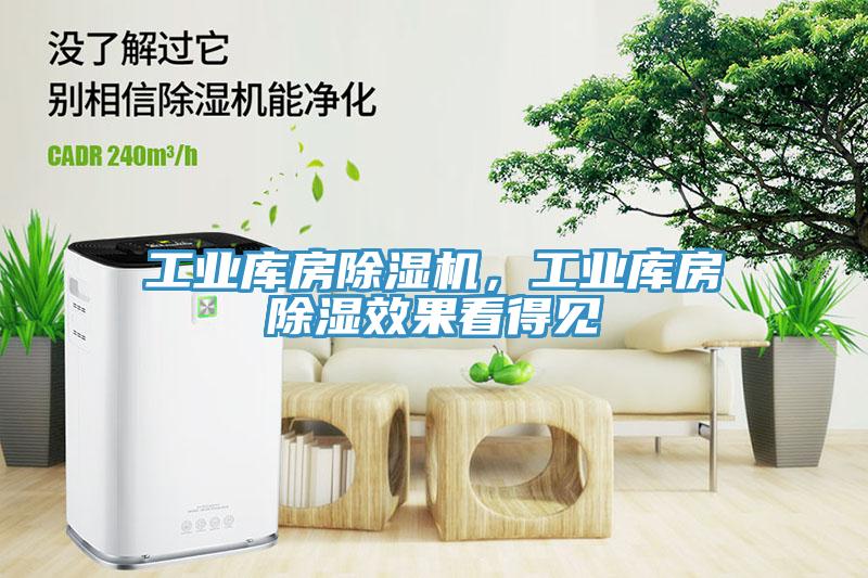 工業(yè)庫房除濕機，工業(yè)庫房除濕效果看得見