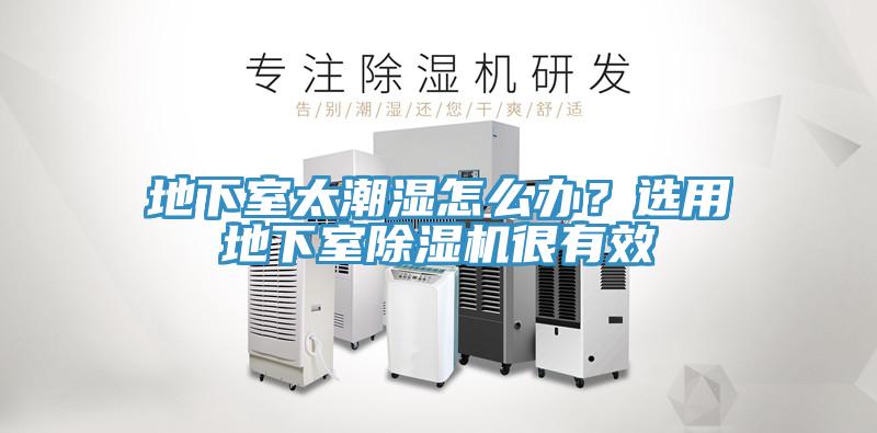 地下室太潮濕怎么辦？選用地下室除濕機(jī)很有效