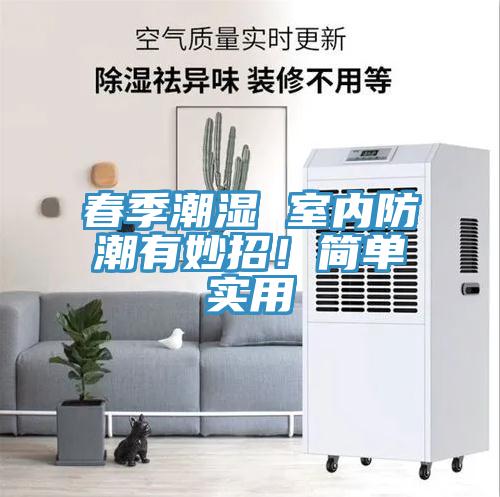 春季潮濕 室內(nèi)防潮有妙招！簡單實(shí)用