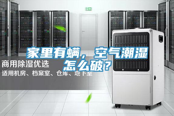 家里有螨，空氣潮濕怎么破？