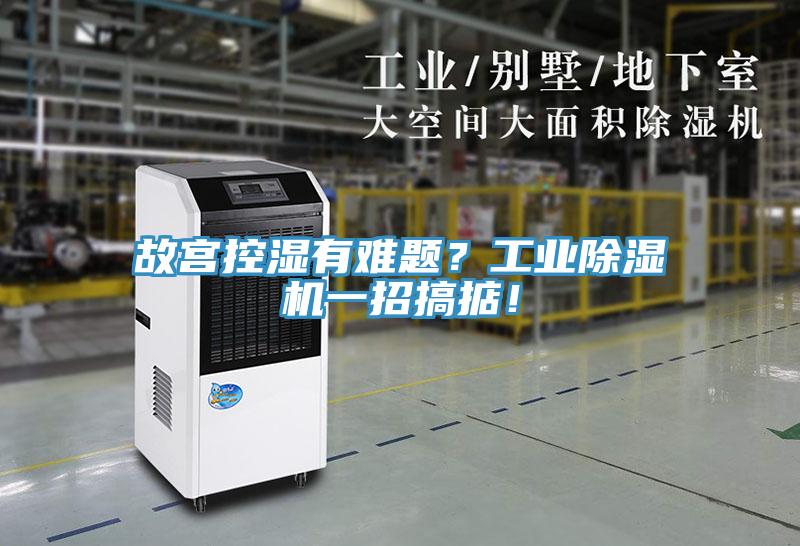 故宮控濕有難題？工業(yè)除濕機(jī)一招搞掂！
