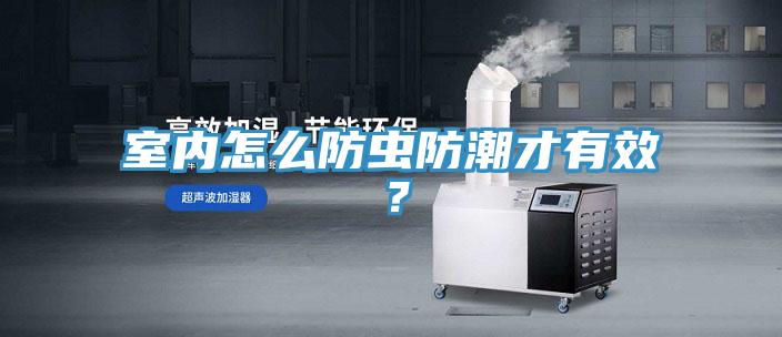室內(nèi)怎么防蟲(chóng)防潮才有效？