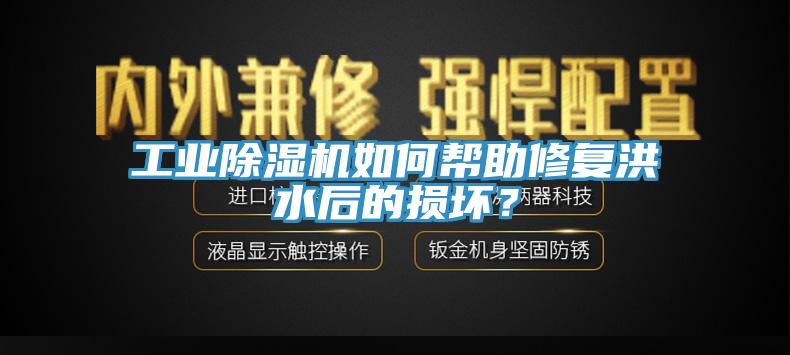 工業(yè)除濕機如何幫助修復(fù)洪水后的損壞？