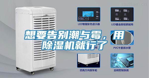想要告別潮與霉，用除濕機就行了