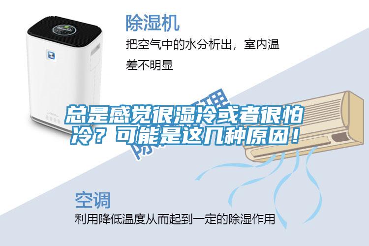 總是感覺很濕冷或者很怕冷？可能是這幾種原因！