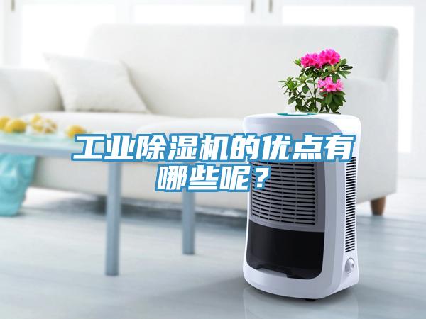 工業(yè)除濕機(jī)的優(yōu)點(diǎn)有哪些呢？