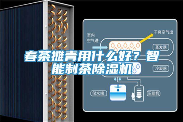 春茶攤青用什么好？智能制茶除濕機