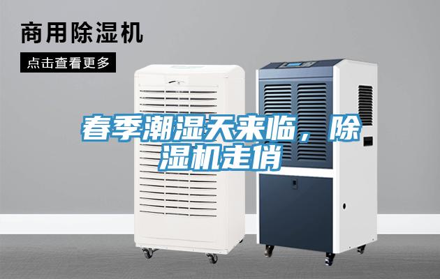 春季潮濕天來臨，除濕機(jī)走俏