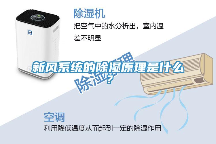 新風(fēng)系統(tǒng)的除濕原理是什么？