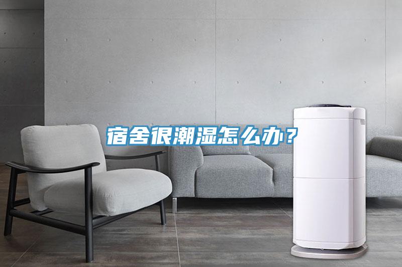 宿舍很潮濕怎么辦？