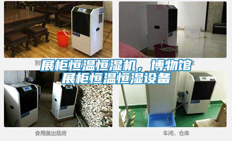 展柜恒溫恒濕機，博物館展柜恒溫恒濕設備