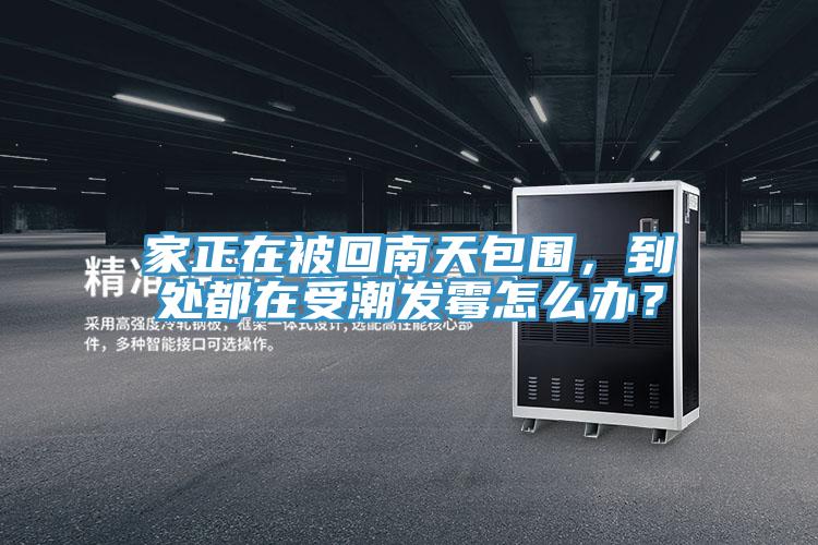 家正在被回南天包圍，到處都在受潮發(fā)霉怎么辦？