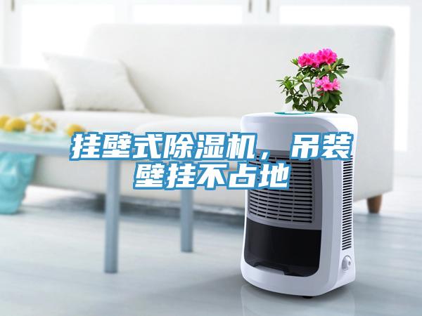 掛壁式除濕機(jī)，吊裝壁掛不占地