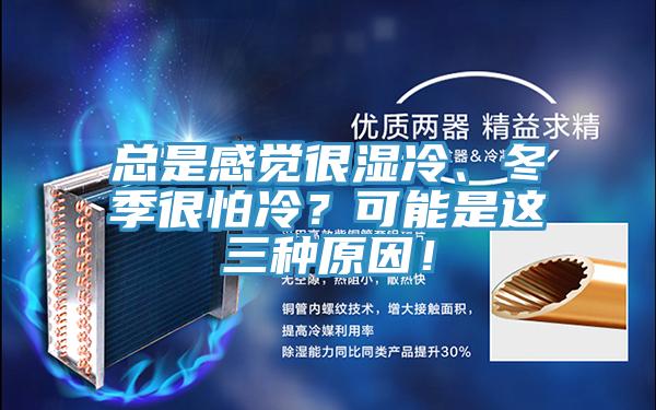 總是感覺很濕冷、冬季很怕冷？可能是這三種原因！