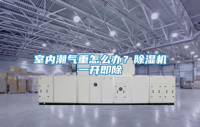 室內(nèi)潮氣重怎么辦？除濕機(jī)一開(kāi)即除