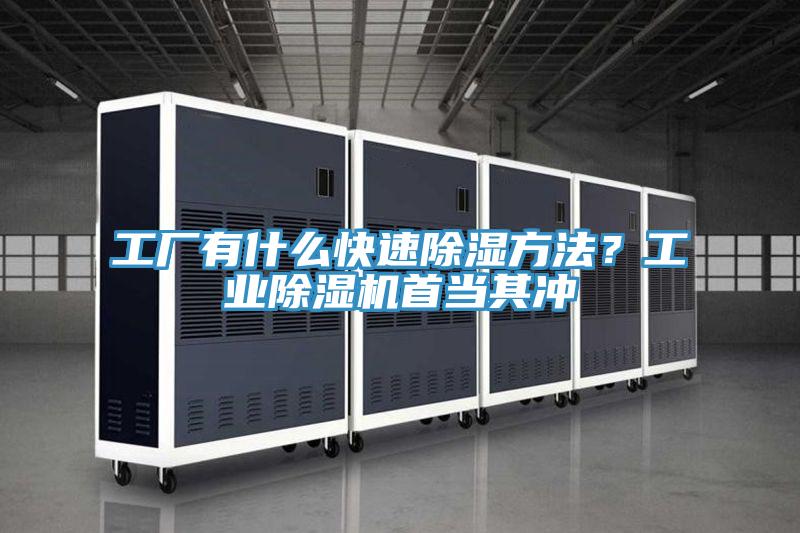 工廠有什么快速除濕方法？工業(yè)除濕機首當(dāng)其沖