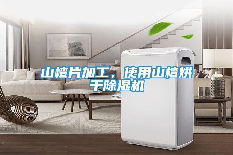 山楂片加工，使用山楂烘干除濕機(jī)