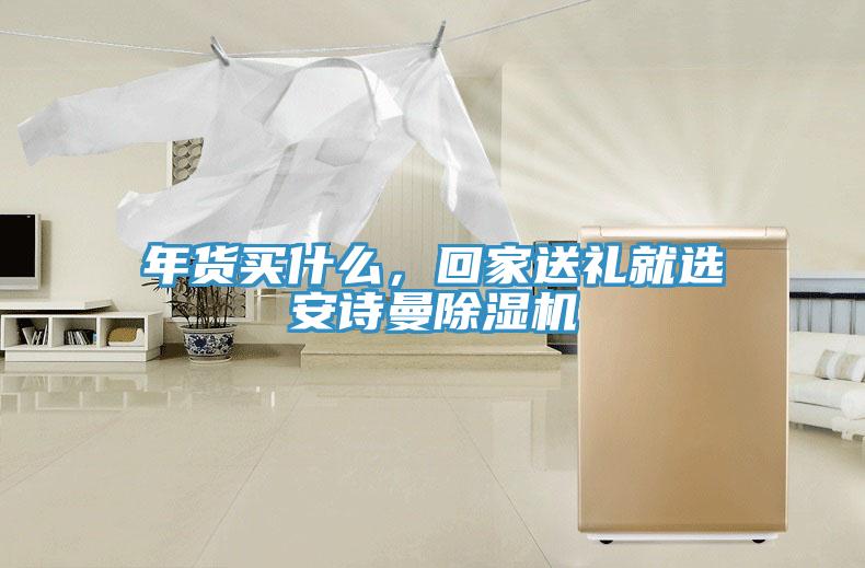 年貨買什么，回家送禮就選安詩曼除濕機(jī)