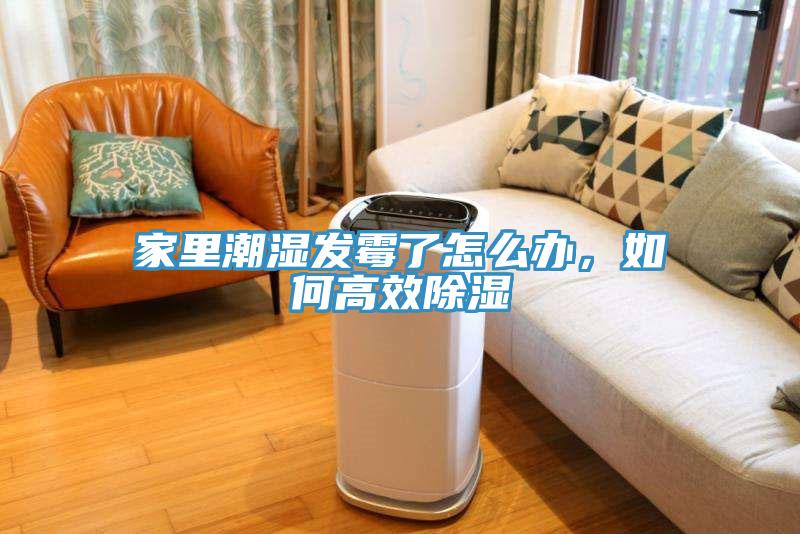 家里潮濕發(fā)霉了怎么辦，如何高效除濕
