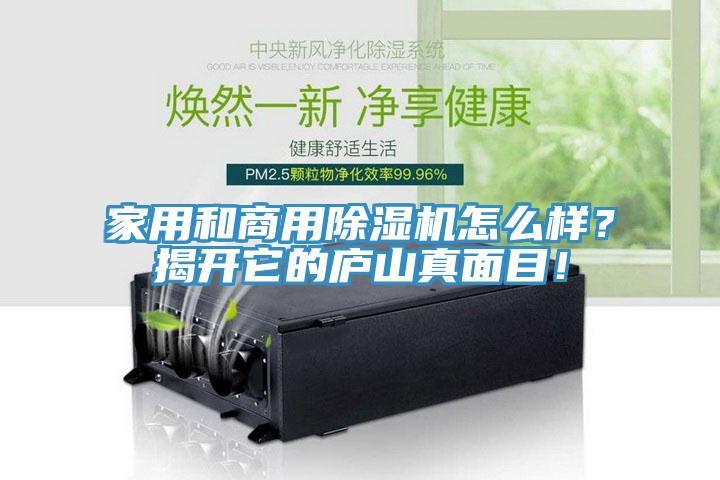 家用和商用除濕機怎么樣？揭開它的廬山真面目！