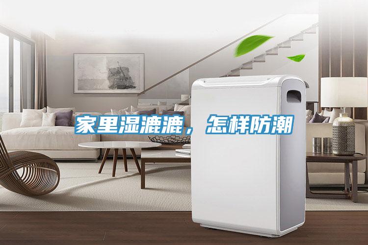 家里濕漉漉，怎樣防潮