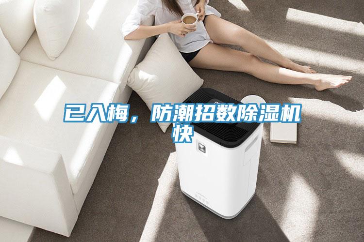 已入梅，防潮招數(shù)除濕機(jī)快