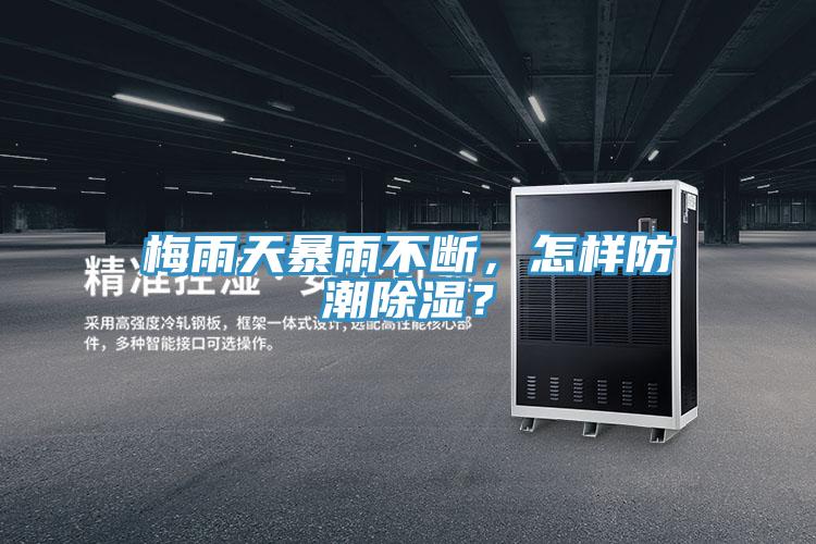 梅雨天暴雨不斷，怎樣防潮除濕？