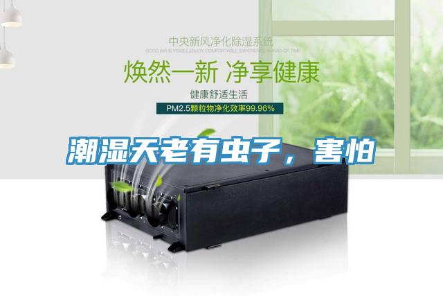 潮濕天老有蟲子，害怕