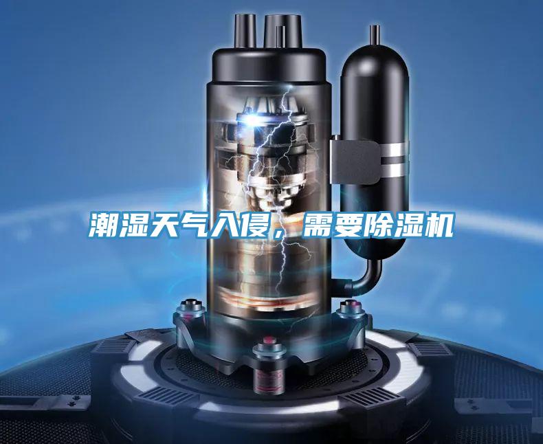 潮濕天氣入侵，需要除濕機