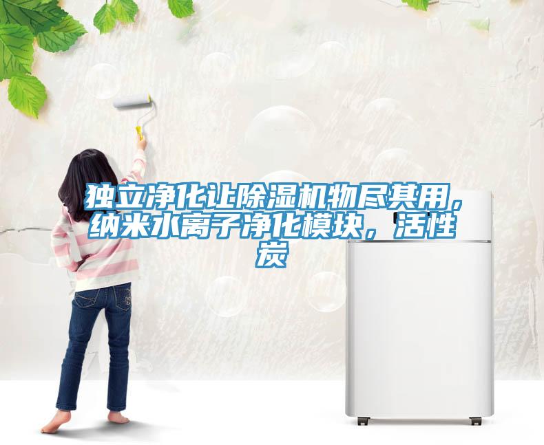 獨(dú)立凈化讓除濕機(jī)物盡其用，納米水離子凈化模塊，活性炭