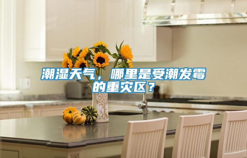 潮濕天氣，哪里是受潮發(fā)霉的重災(zāi)區(qū)？
