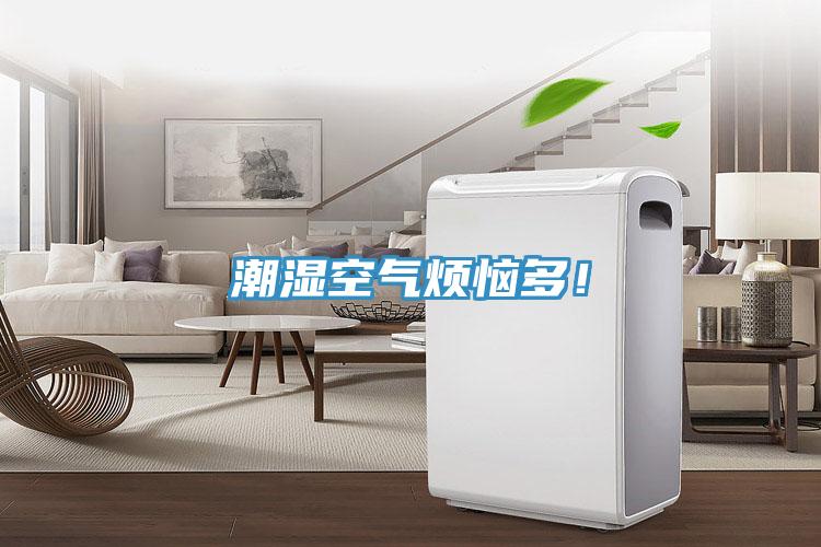 潮濕空氣煩惱多！