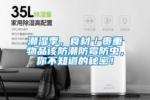 潮濕季，食材／貴重物品該防潮防霉防蟲，你不知道的秘密！
