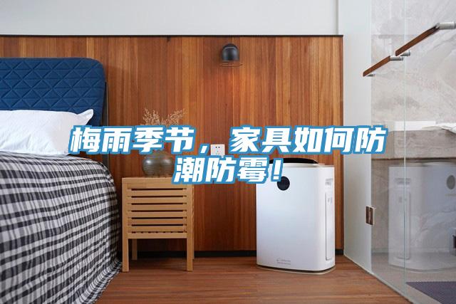 梅雨季節(jié)，家具如何防潮防霉！