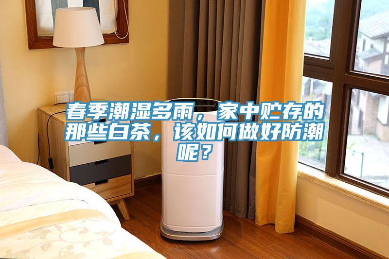 春季潮濕多雨，家中貯存的那些白茶，該如何做好防潮呢？