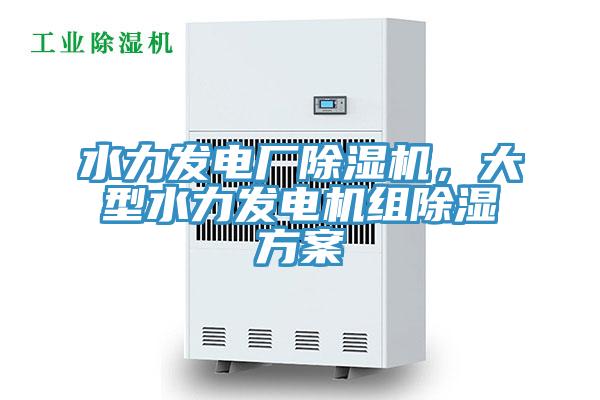 水力發(fā)電廠除濕機(jī)，大型水力發(fā)電機(jī)組除濕方案