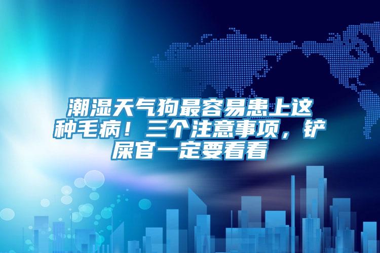 潮濕天氣狗最容易患上這種毛?。∪齻€注意事項(xiàng)，鏟屎官一定要看看