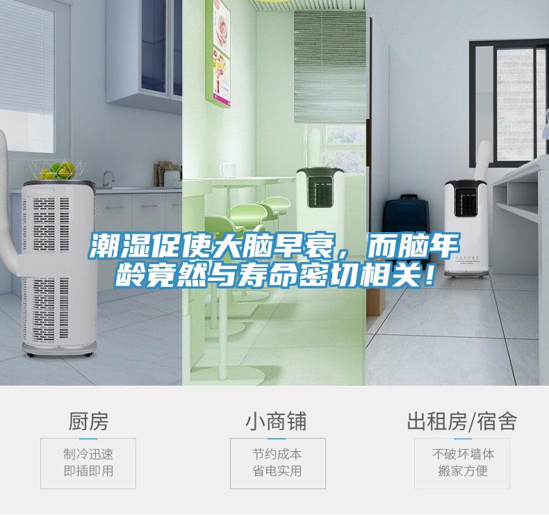 潮濕促使大腦早衰，而腦年齡竟然與壽命密切相關(guān)！