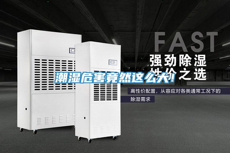 潮濕危害竟然這么大！