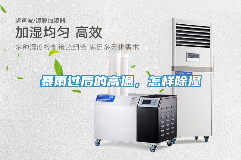 暴雨過后的高溫，怎樣除濕