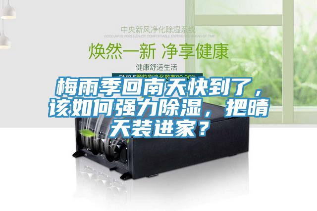 梅雨季回南天快到了，該如何強力除濕，把晴天裝進家？