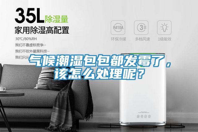 氣候潮濕包包都發(fā)霉了，該怎么處理呢？