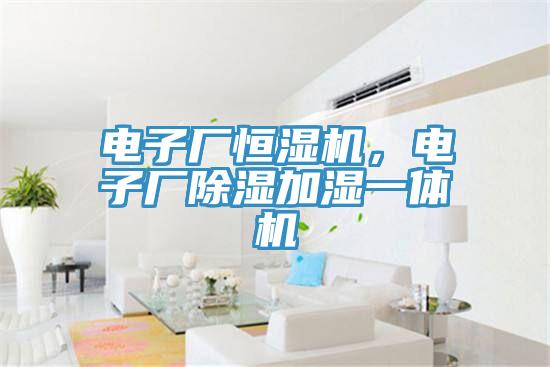 電子廠恒濕機，電子廠除濕加濕一體機