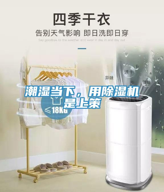 潮濕當下，用除濕機是上策