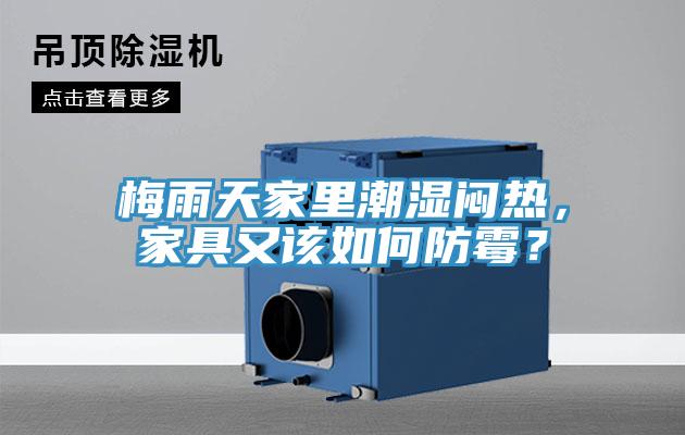梅雨天家里潮濕悶熱，家具又該如何防霉？